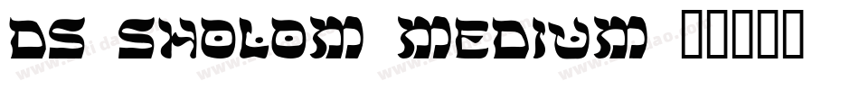 DS Sholom Medium字体转换